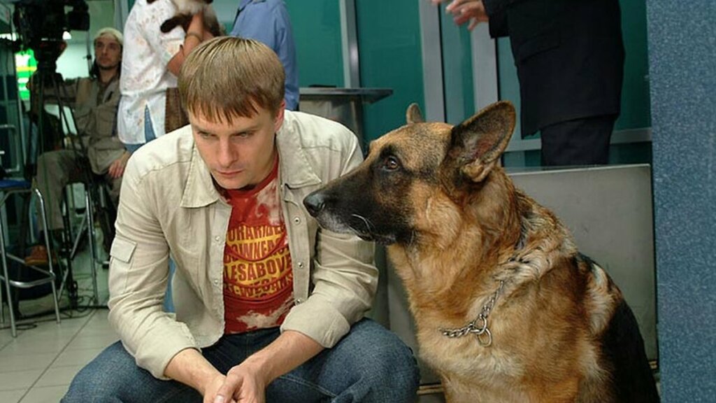 Смотреть все Сериалы про собак